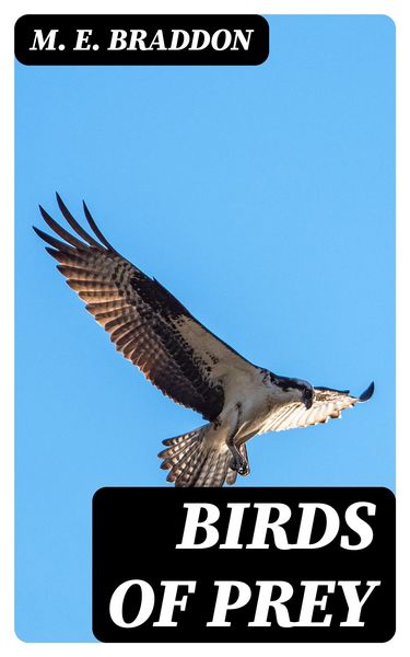 Produktbild: Birds of Prey
