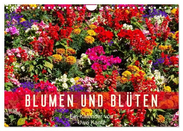Produktbild: Blumen und Bl&uuml;ten (Wandkalender 2026 DIN A4 quer), CALVENDO Monatskalender
