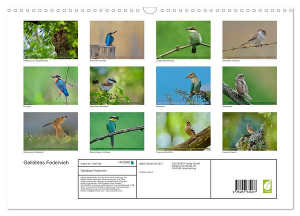 Produktbild: Geliebtes Federvieh (Wandkalender 2026 DIN A3 quer), CALVENDO Monatskalender