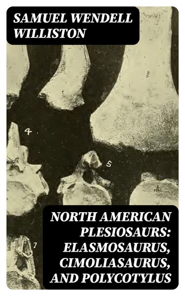 Produktbild: North American Plesiosaurs: Elasmosaurus, Cimoliasaurus, and Polycotylus