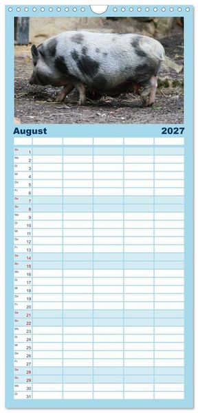 Produktbild: Familienplaner 2027 - Tierische Schweinerei mit 5 Spalten (Wandkalender, 21 x 45 cm) CALVENDO
