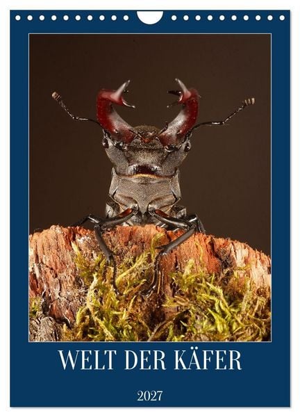 Produktbild: Welt der K&auml;fer (Wandkalender 2027 DIN A4 hoch), CALVENDO Monatskalender