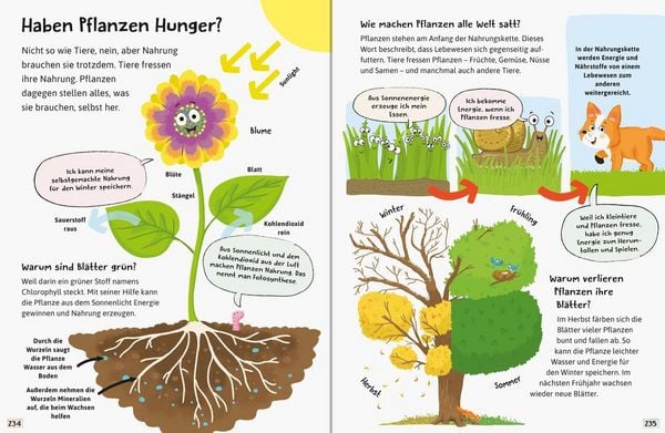 Produktbild: Alles was ich wissen will