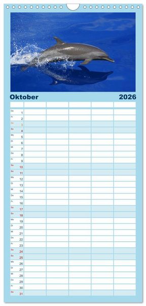 Produktbild: Familienplaner 2026 - Delfine und Wale mit 5 Spalten (Wandkalender, 21 x 45 cm) CALVENDO