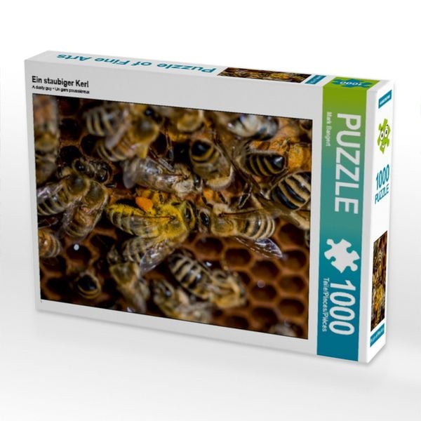 CALVENDO Puzzle Ein staubiger Kerl | 1000 Teile Lege-Größe 64x48cm Foto-Puzzle für glückliche Stunden