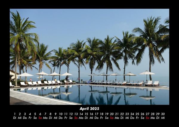 Produktbild: Palmentraum 2025 Fotokalender DIN A3