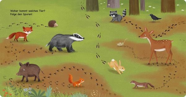 Produktbild: Tiere im Wald