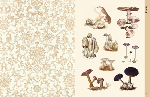 Produktbild: Botanical Art to Cut out and Collage