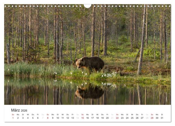 Produktbild: Naturparadies Finnland (Wandkalender 2026 DIN A3 quer), CALVENDO Monatskalender