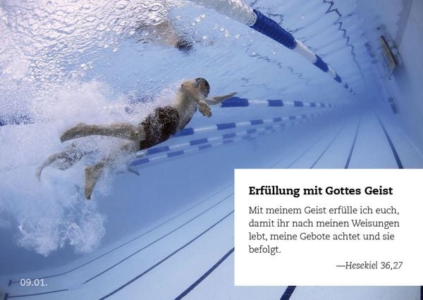 Produktbild: 365 Verhei&szlig;ungen