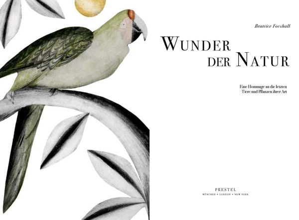 Produktbild: Wunder der Natur