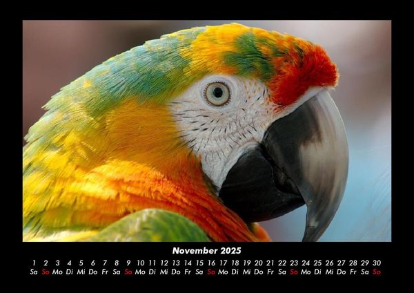 Produktbild: Vogelparadies 2025 Fotokalender DIN A3