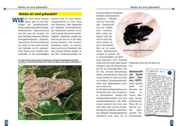 Produktbild: Der Zwergkrallenfrosch