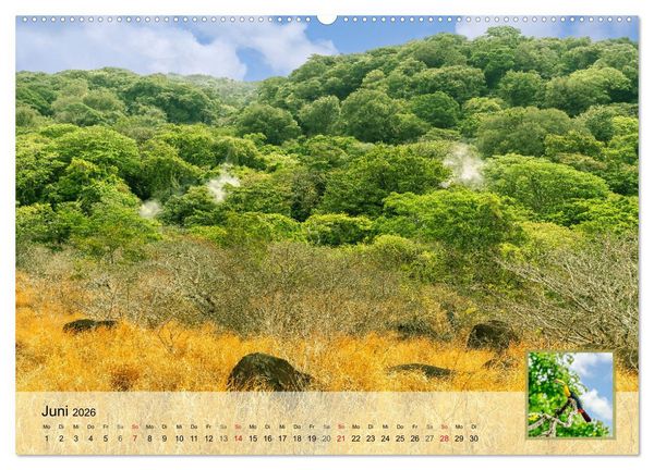Produktbild: Costa Rica Dreams Tropische Naturwunder (Wandkalender 2026 DIN A2 quer), CALVENDO Monatskalender