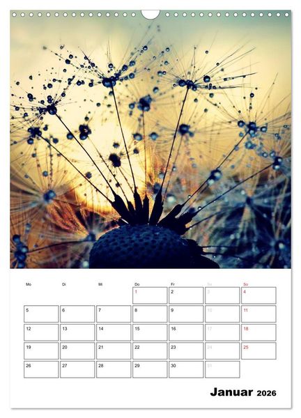 Produktbild: Pusteblumentraum - Dreams of Dandelion (Wandkalender 2026 DIN A3 hoch), CALVENDO Monatskalender