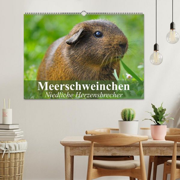Produktbild: Meerschweinchen Niedliche Herzensbrecher (Wandkalender 2026 DIN A2 quer), CALVENDO Monatskalender