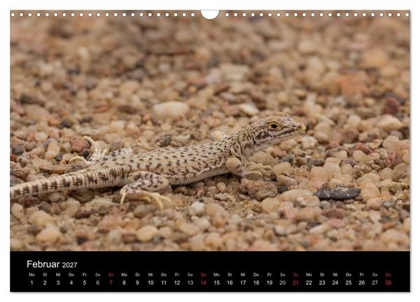 Produktbild: Wundersch&ouml;nes Namibia (Wandkalender 2027 DIN A3 quer), CALVENDO Monatskalender
