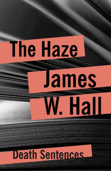 Produktbild: The Haze