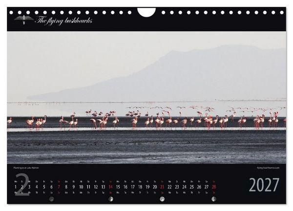 Produktbild: Tansania Blickwinkel 2027 (Wandkalender 2027 DIN A4 quer), CALVENDO Monatskalender