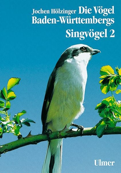 Die Vögel Baden-Württembergs Band 3.2 - Singvögel 2, Gebundene Ausgabe von Jochen Hölzinger, Verlag Eugen Ulmer, 9783800134830