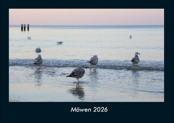Möwen 2026 Fotokalender DIN A4
