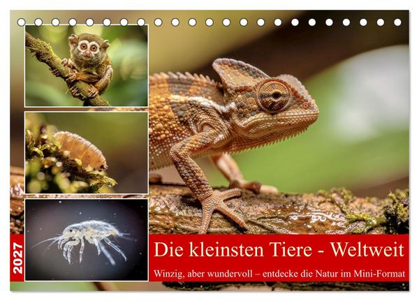 Produktbild: Die kleinsten Tiere - Weltweit (Tischkalender 2027 DIN A5 quer), CALVENDO Monatskalender