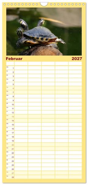 Produktbild: Familienplaner 2027 - Schildkr&ouml;ten - Gepanzerte Urzeitwesen mit 5 Spalten (Wandkalender, 21 x 45 cm) CALVENDO