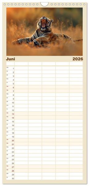 Produktbild: Familienplaner 2026 - Ansteckend m&uuml;de! mit 5 Spalten (Wandkalender, 21 x 45 cm) CALVENDO