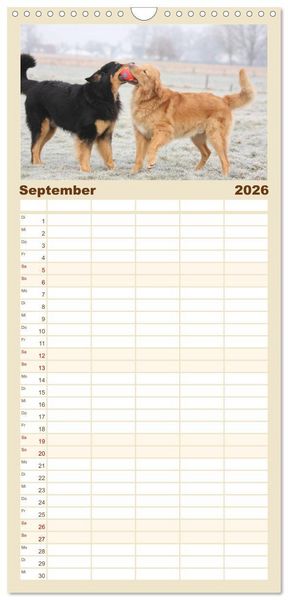 Produktbild: Familienplaner 2026 - Hovawarte - einmal anders mit 5 Spalten (Wandkalender, 21 x 45 cm) CALVENDO