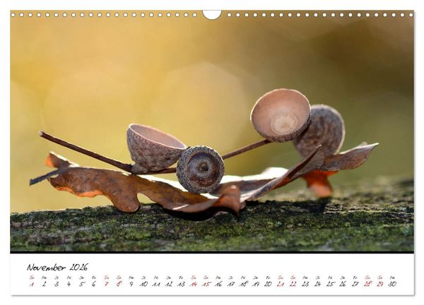 Produktbild: Sch&ouml;nheiten in freier Natur (Wandkalender 2026 DIN A3 quer), CALVENDO Monatskalender