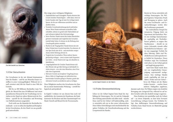 Produktbild: Dem Geruch auf der Spur