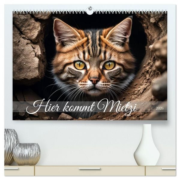 Produktbild: Hier kommt Mietzi (hochwertiger Premium Wandkalender 2026 DIN A2 quer), Kunstdruck in Hochglanz