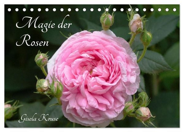 Produktbild: Magie der Rosen (Tischkalender 2026 DIN A5 quer), CALVENDO Monatskalender