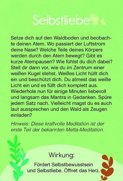 Produktbild: Waldbaden mit Yoga &ndash; Kartenset
