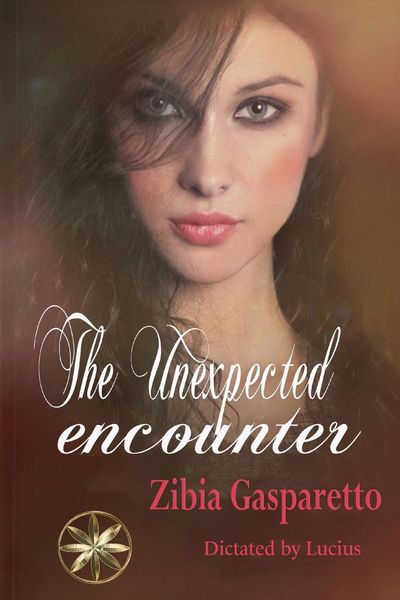Produktbild: The unexpected encounter