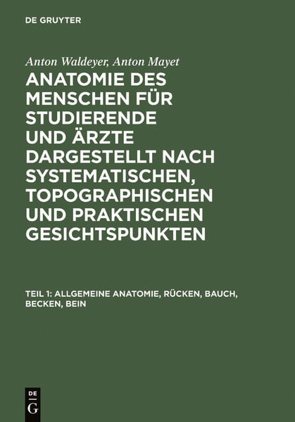 Produktbild: Allgemeine Anatomie, R&uuml;cken, Bauch, Becken, Bein