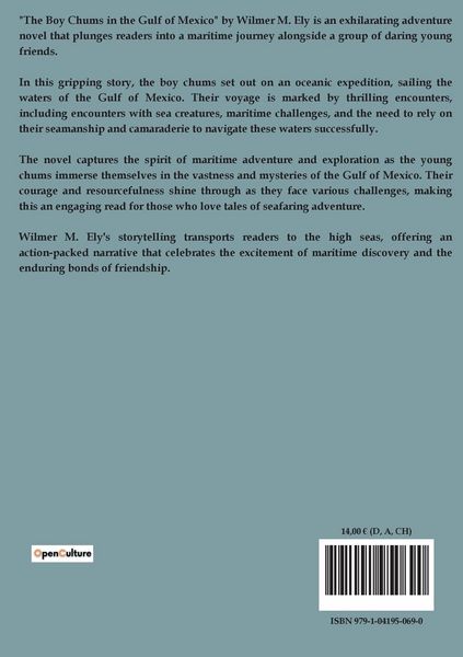 Produktbild: The Boy Chums in the Gulf of Mexico