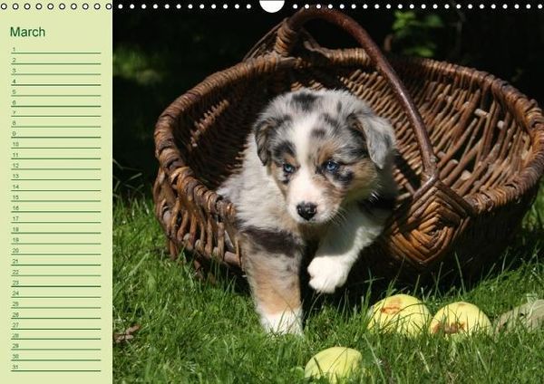 Produktbild: Puppies Birthday Calendar / UK-Version (Wall Calendar perpetual DIN A3 Landscape)