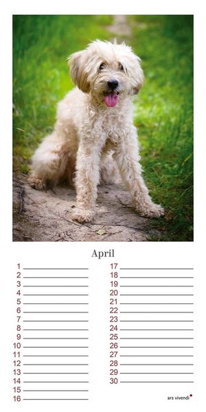Produktbild: Geburtstagskalender Hunde