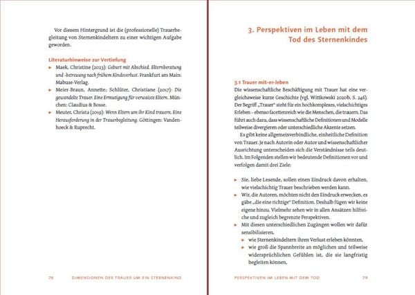 Produktbild: Sternenkind: Trauer verstehen und begleiten