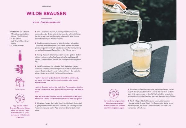 Produktbild: Fermentation