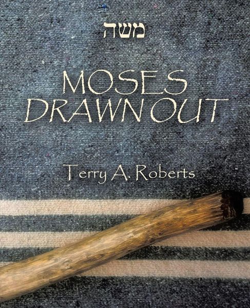 Produktbild: Moses Drawn Out