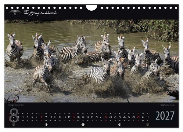 Produktbild: Tansania Blickwinkel 2027 (Wandkalender 2027 DIN A4 quer), CALVENDO Monatskalender