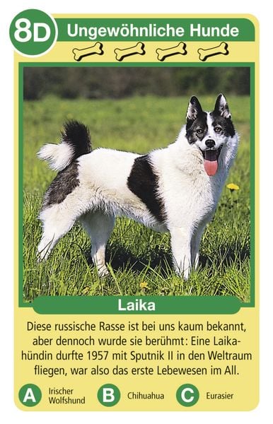 Produktbild: Tierquartett Hunde - Kartenspiel ab 4 Jahre
