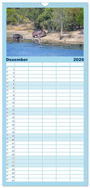 Produktbild: Familienplaner 2026 - Nilpferde, Kolosse in Afrika mit 5 Spalten (Wandkalender, 21 x 45 cm) CALVENDO