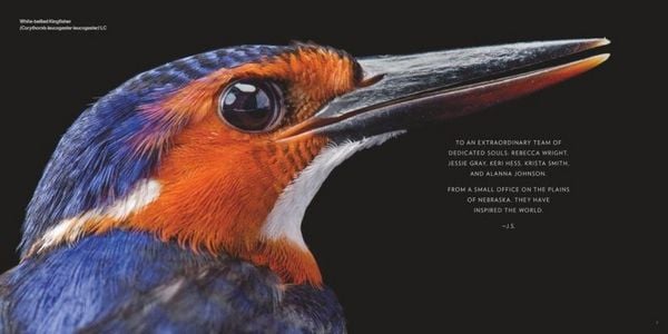Produktbild: Vogelreich