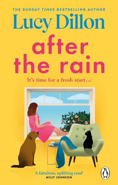 Produktbild: After the Rain