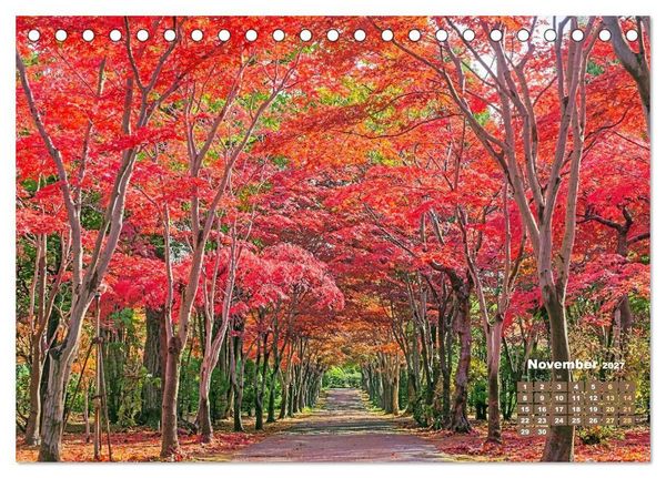 Produktbild: Japan: Entdecken Sie gelebte Tradition und einzigartige Naturwunder (Tischkalender 2027 DIN A5 quer), CALVENDO Monatskalender