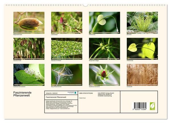 Produktbild: Faszinierende Pflanzenwelt (hochwertiger Premium Wandkalender 2027 DIN A2 quer), Kunstdruck in Hochglanz