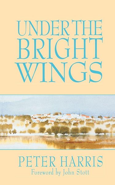 Produktbild: Under the Bright Wings